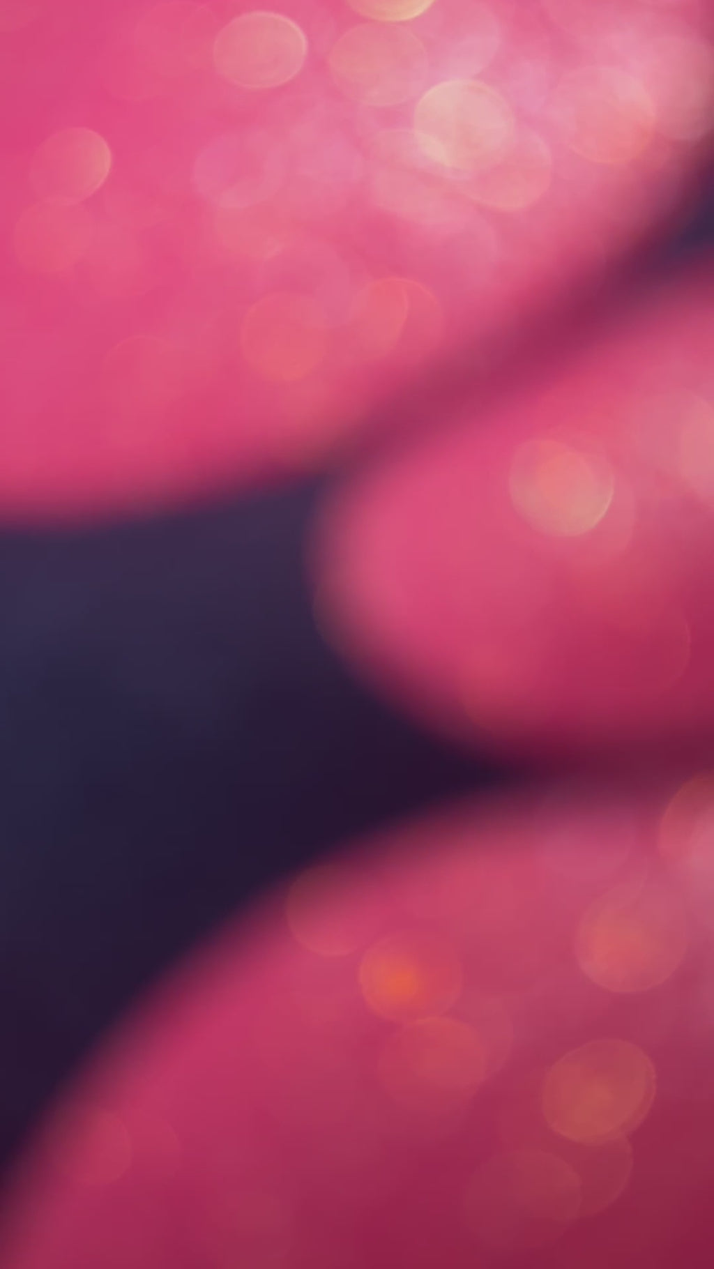 SHIMMER PREMIUM NAVY X PINK